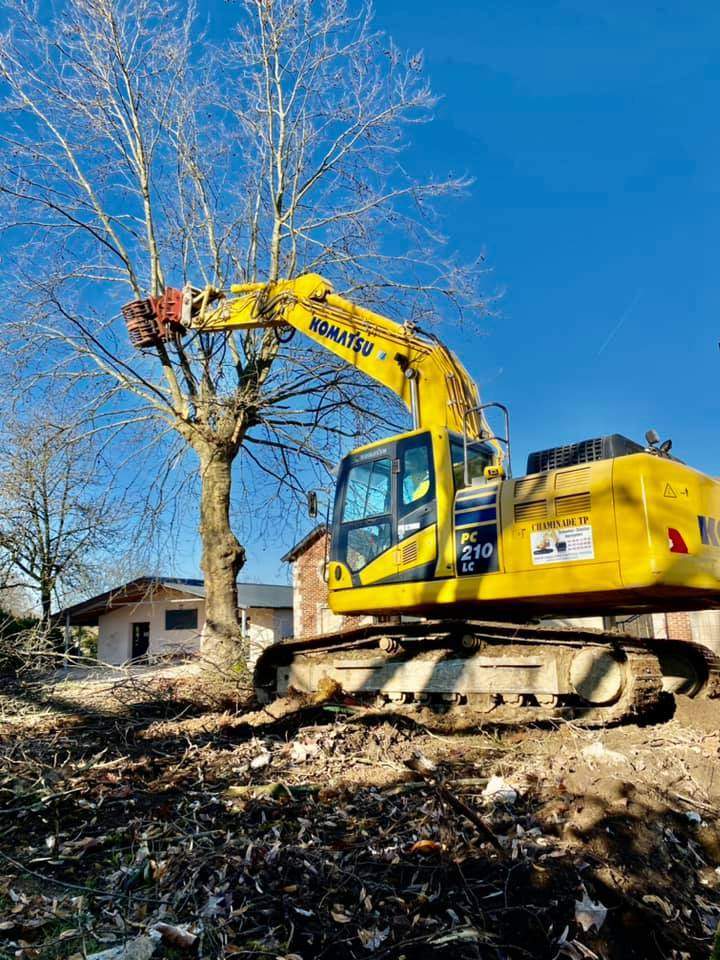 Abattage arbre avant démolition Thiviers